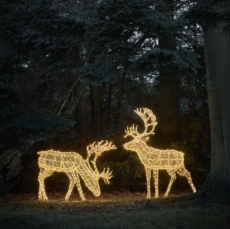 1.8m XL Arkendale Stag LED Light Up Reindeer Duo